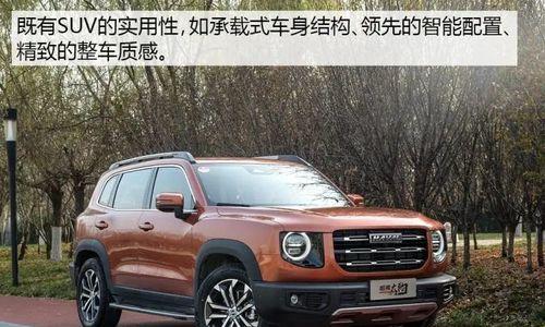 寻找最佳大狗名字——给你的忠诚伴侣一个独特身份（15个最适合大狗的名字供你选择）
