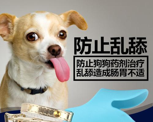 狗狗剪式咬是什么？（了解狗狗剪式咬的原因和处理方法）