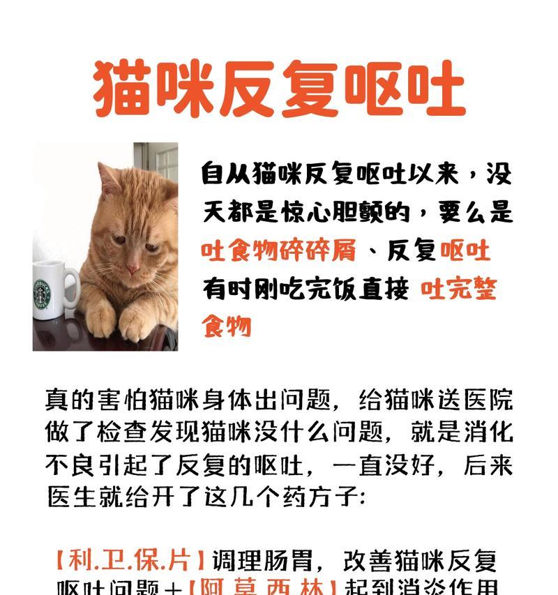 反复呕吐的原因及处理方法（探讨反复呕吐现象的成因与解决办法）