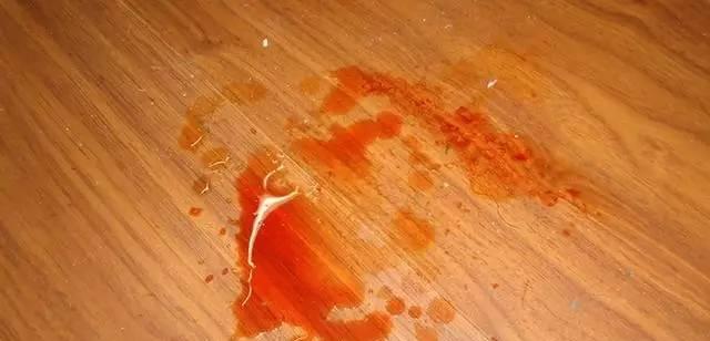 狗膀胱出血——原因、症状与治疗（了解狗膀胱出血的常见病因，掌握相关症状并及时治疗）