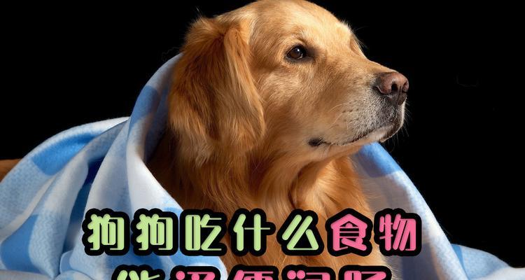 小狗的生命危机（了解关键食物，保护你的小狗免受危险！）