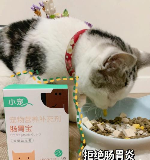 小狗轻微肠炎的治疗方法（选择合适的药物缓解小狗肠炎症状）