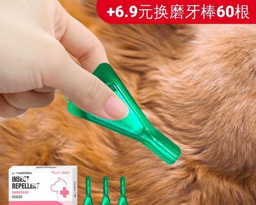 了解狗狗驱虫药的种类和使用方法（保护你的爱犬免受寄生虫侵害）