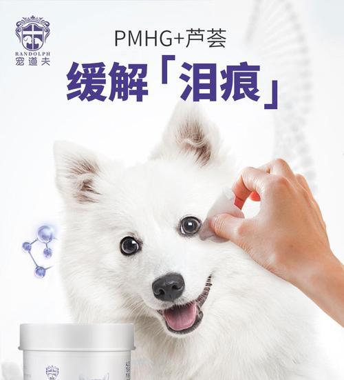 如何让狗狗不再有眼屎问题？（选择正确的食物关键在于维持眼部健康）
