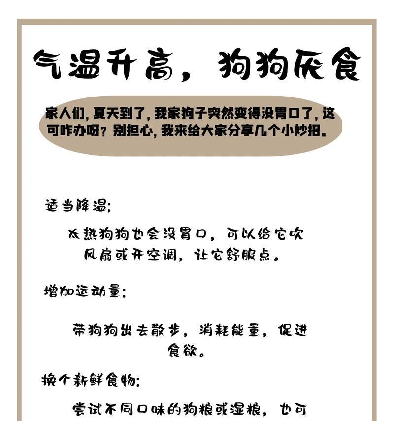 狗狗为什么不喜欢吃饭？（探究狗狗拒食的原因及应对方法）