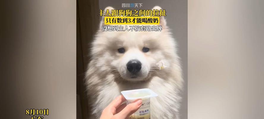 幼犬的饮食之道（探讨幼犬饮食中的酸奶选择和好处）