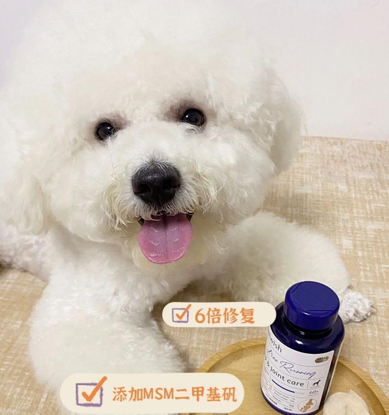 比熊髌骨肿病的治疗药物选择（探索治疗比熊髌骨肿病的有效药物及方法）