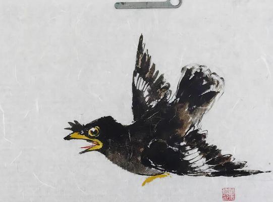 八哥喂养的注意事项（了解八哥饮食习性与合理喂养的关键）