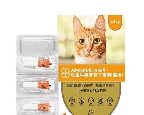 如何给幼猫进行外驱虫（保护幼猫健康，驱除寄生虫的关键方法）