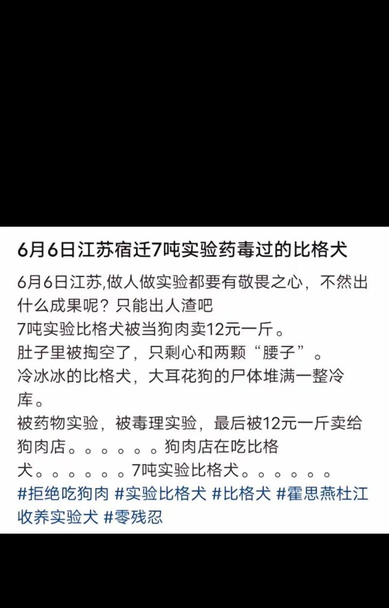 比格犬（了解比格犬的性格、外貌和饲养技巧，让它成为你的理想宠物）