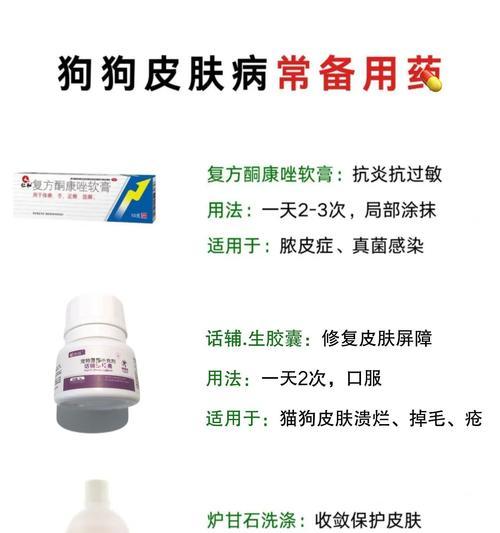 治疗狗皮肤病的消毒方法（有效防治狗皮肤病的消毒措施和注意事项）