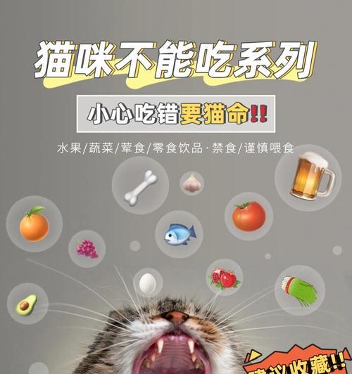 猫咪的饮食之道（为猫咪选择最佳饮食的建议和注意事项）