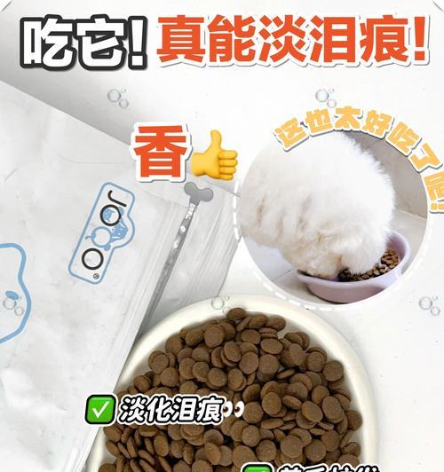 宝贝比熊三个月，营养从嘴巴开始（一起来了解比熊宝贝的健康饮食习惯）