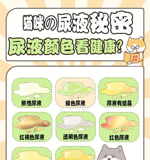 让猫消除上火的秘诀（提供猫咪消火食物的完美指南）