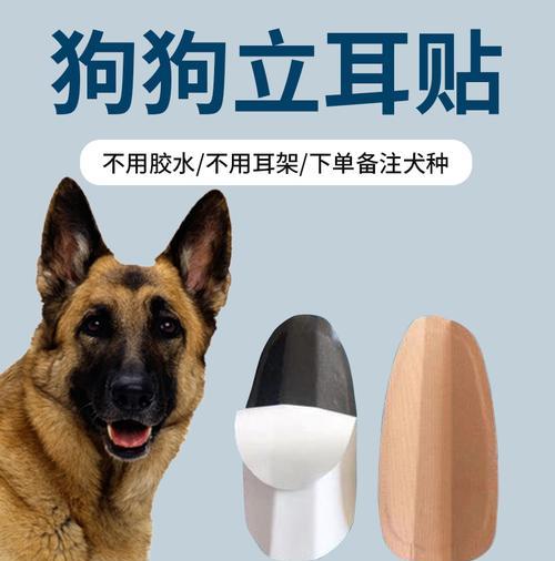 为什么要给狗打耳号（保护宠物狗安全的重要举措）
