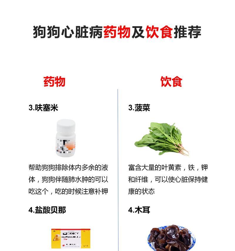 治疗狗狗皮病的药物及建议（选择合适的药物，让你的宠物远离皮肤问题）