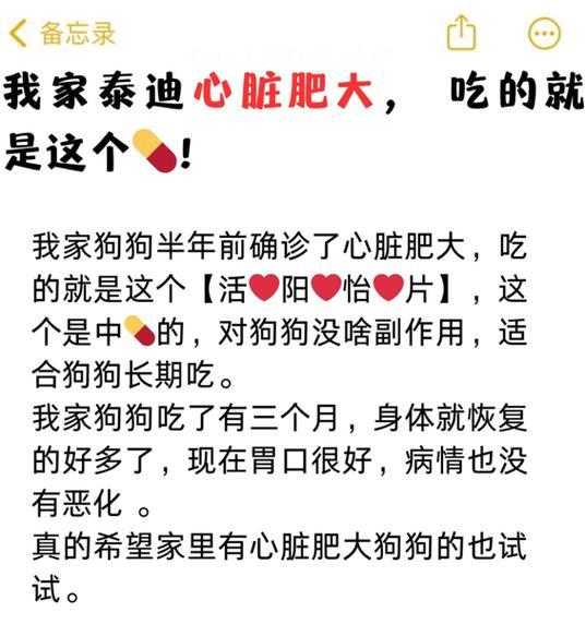 泰迪宠物的禁食清单（了解泰迪不能吃的食物，守护宠物健康）