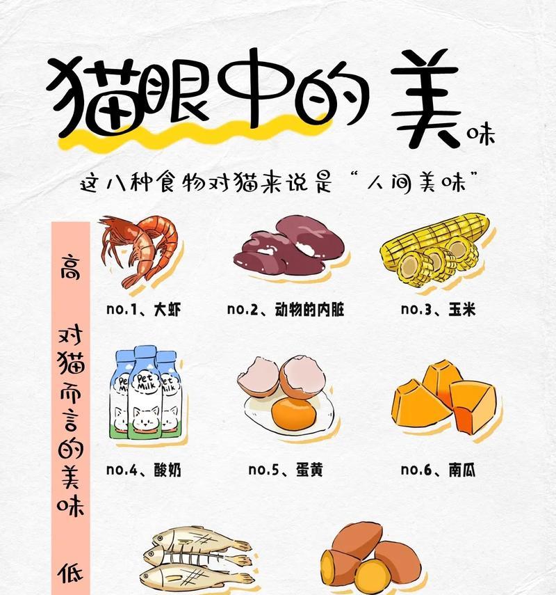 猫为什么不吃食？（探究猫不吃食的原因及解决方法）