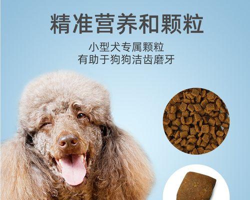 比熊狗狗该如何选择最佳狗粮？（一起了解比熊狗狗的饮食需求，找到最适合它们的狗粮！）