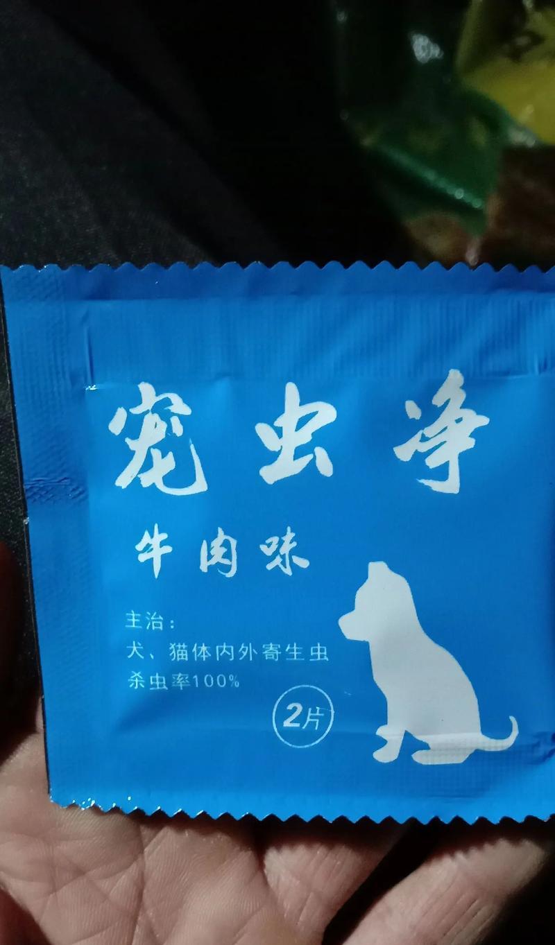 如何有效治疗狗身上的虫子（选择适合的药物，保护宠物健康）