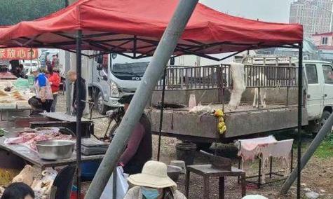 以狗市是干什么的？（了解狗市的功能与作用）