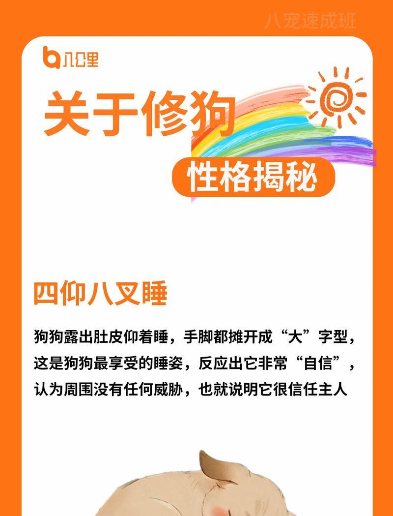 狗狗的睡姿为何突变？（揭秘狗狗睡姿变化的原因和影响）