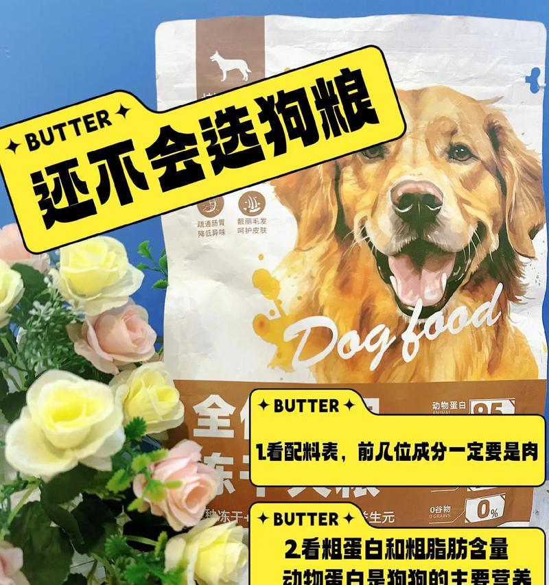 给狗子吃什么？——营养健康的饮食是关键（探索狗狗的饮食需求，了解健康饮食的重要性）