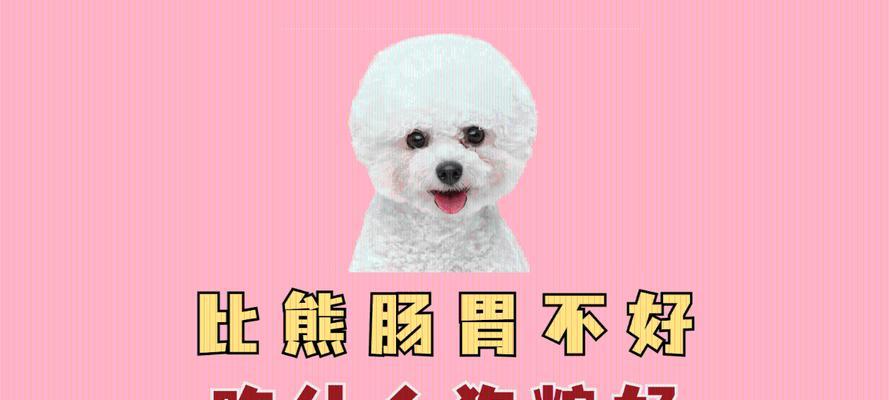 比熊的营养需求（为您的比熊提供适当的营养是非常重要的）