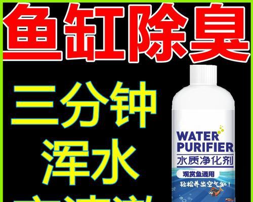 选择合适的鱼缸消毒方法保护鱼儿健康（了解消毒鱼缸的必要性及相关方法）