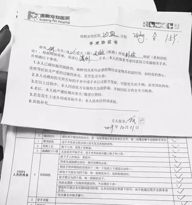 幼犬全麻存在的风险及安全措施（保护幼犬安全健康，全麻手术需谨慎对待）