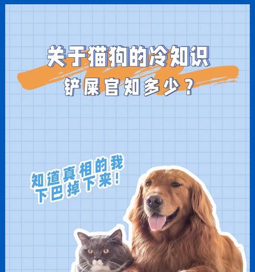 为什么狗需要拔牙？（探索狗狗口腔健康的重要性及拔牙的必要性）