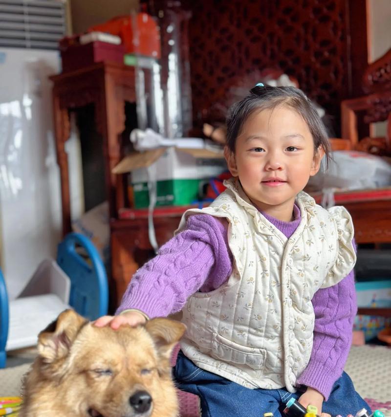 为什么狗狗都喜欢小孩？（探索狗狗对小孩的好感原因及影响因素）