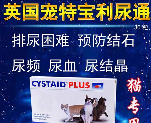 英特威的作用及其（探索英特威对科技发展和数据处理的重要性）