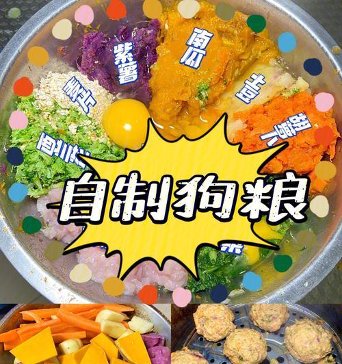 以玉米面为主食喂养狗狗的可行性与注意事项（掺入适量玉米面是狗狗健康饮食的有效方法）
