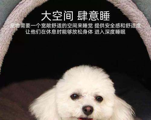 狗狗睡觉的最佳方式（了解狗狗睡眠习惯，让它们安心入眠）