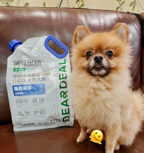 以狗狗皮肤病喂什么狗粮？（为您的宠物选择适合的营养餐）