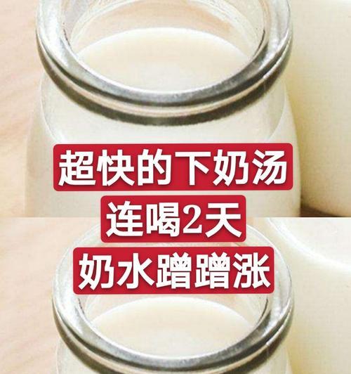小狗没母乳怎么下奶？（为小狗提供适当的营养和促进乳汁分泌的方法）