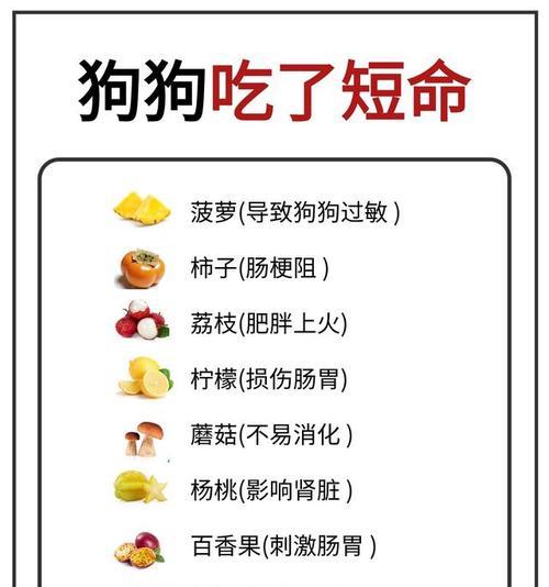 土狗的饮食需要——了解一个月土狗的主要食物（一起来了解土狗喜欢吃的食物吧！）