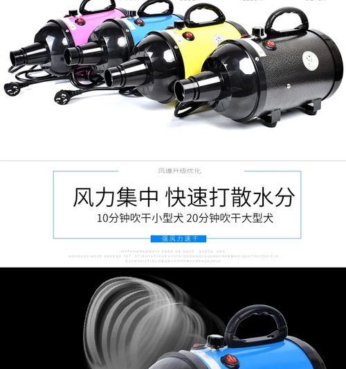 选择适合狗狗的吹风机，给它最好的护理（如何选择适合狗狗的吹风机，确保它的健康和舒适）