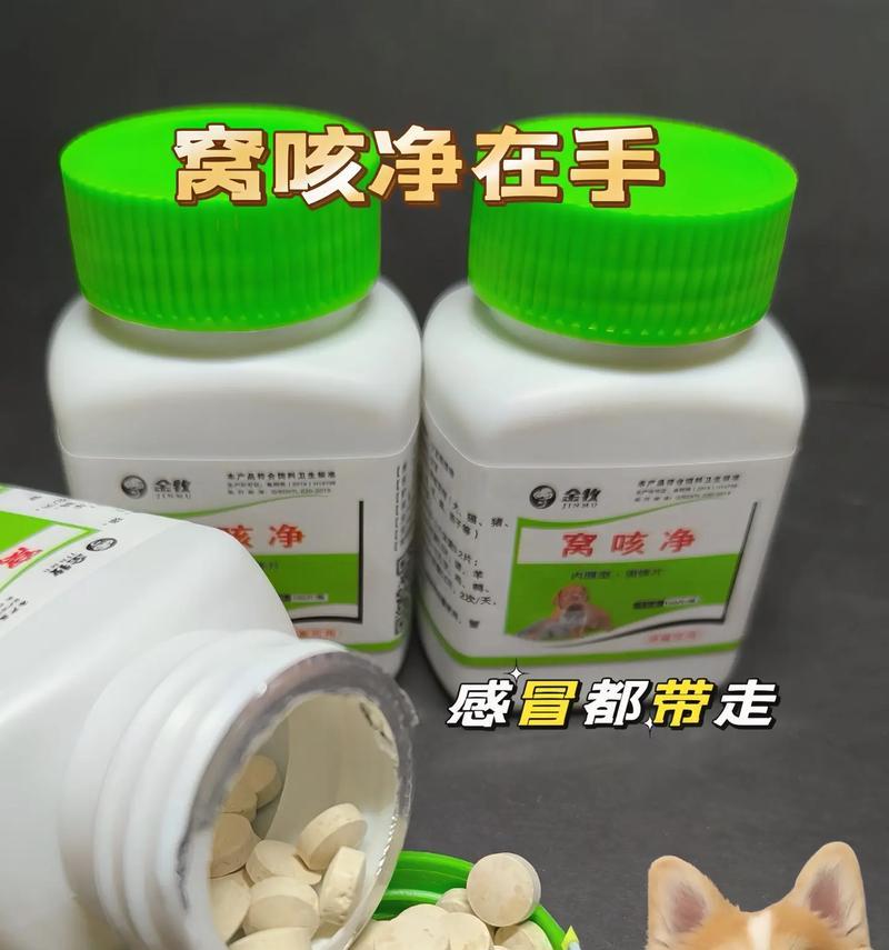 狗狗夏天咳嗽的原因及预防方法（保护狗狗健康，夏天咳嗽不再困扰）