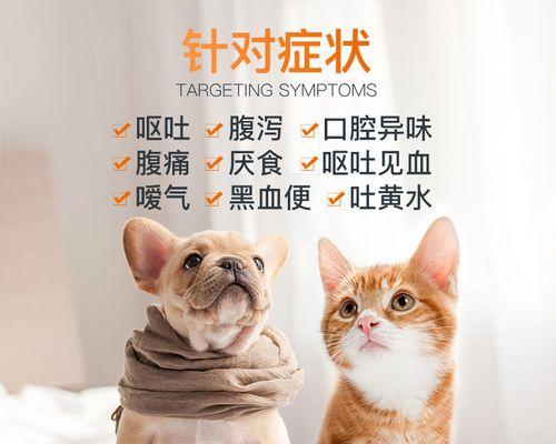 狗狗老吐吃什么药？（解决狗狗频繁呕吐问题的有效药物推荐）