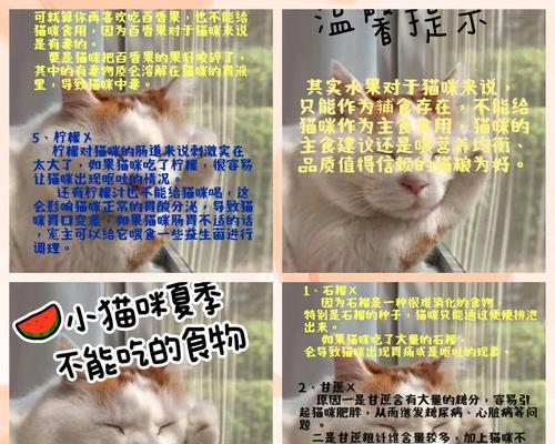 夏天猫容易生什么病？（夏季高温下猫咪易患病，如何预防和治疗？）