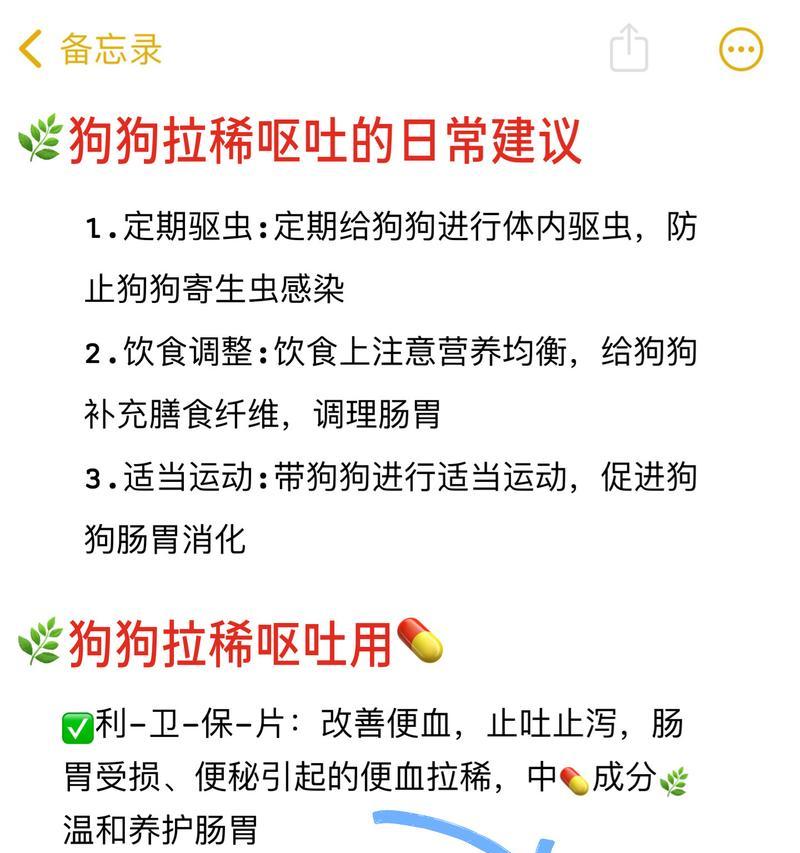 三个月的狗呕吐原因解析（了解三个月大狗呕吐的原因及处理方法）