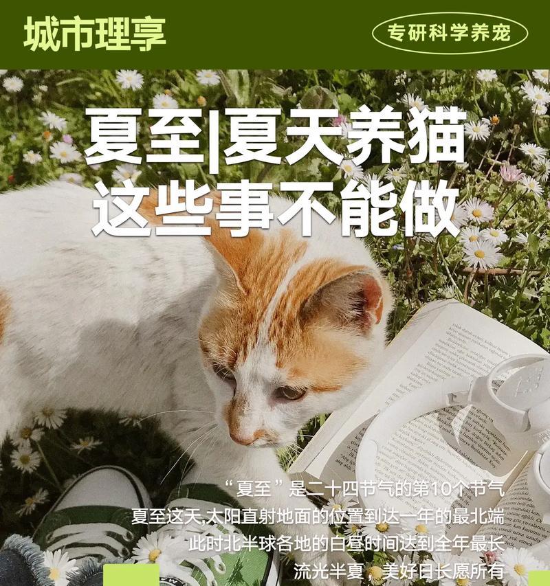夏天养猫需注意事项（如何为猫咪提供舒适的夏季生活）