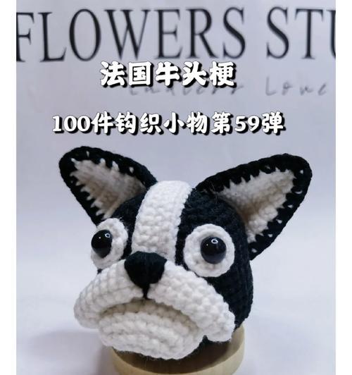 三个月牛头梗吃什么药？（指导你为三个月大的牛头梗选择适当的药物）