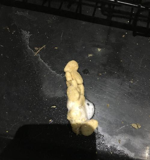 狗狗拉黑色粑粑的原因（为什么狗狗的粪便颜色会呈现黑色？）