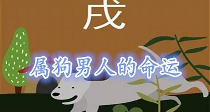 《狗年吉祥，八字双狗闹新春》（以八字双狗为主题的文章）