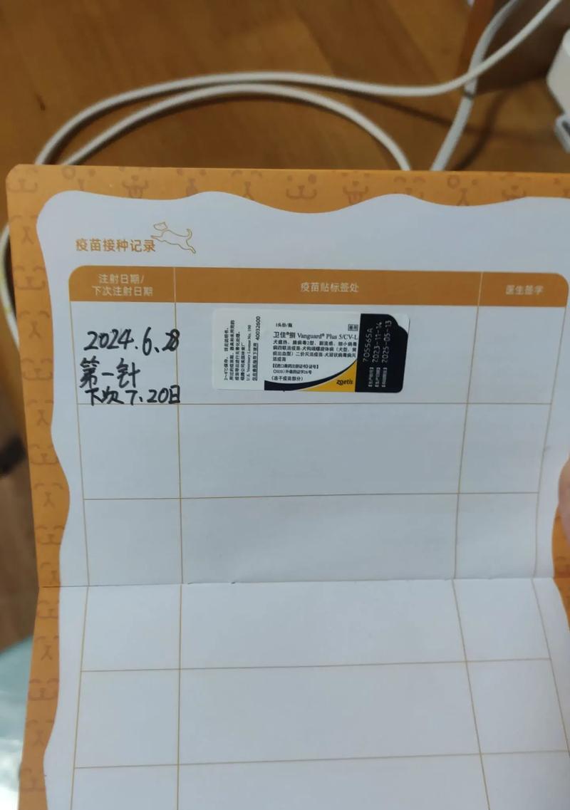 狗狗接种完疫苗后的注意事项（照顾宠物狗健康的关键在于细致入微的护理）