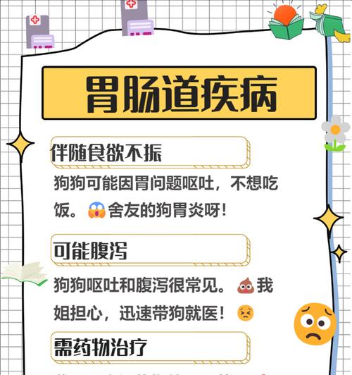 狗狗呕吐的常见原因与处理方法（呕吐）