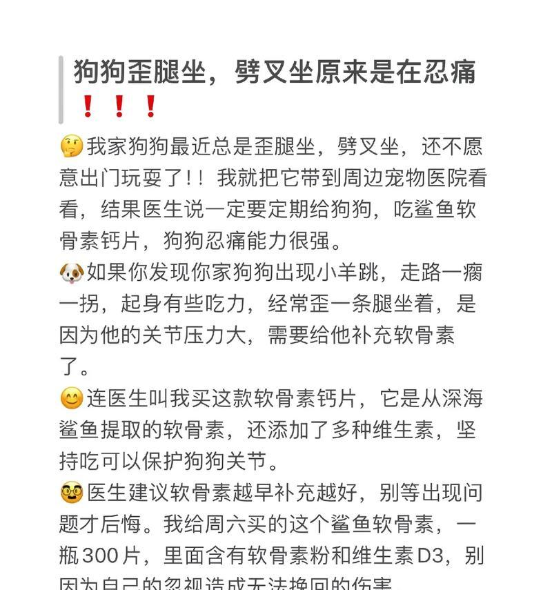 养育两个月狗狗的注意事项（初识新生命，宠物生活的开始）